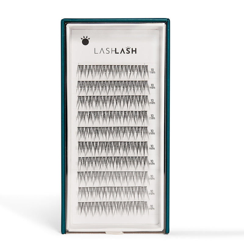 Lash Lash &