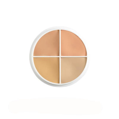 Ben Nye Special Color Wheel Concealer Palettes Conceal all Wheel (NK-1)  