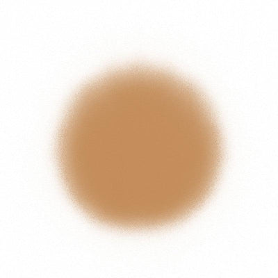 Temptu Perfect Canvas Hydra Lock Airpod Foundation Airbrush Foundation 10 Caramel (Perfect Canvas)  