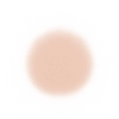 Temptu Perfect Canvas Hydra Lock Airpod Foundation Airbrush Foundation 2.5 Cream (Perfect Canvas)  