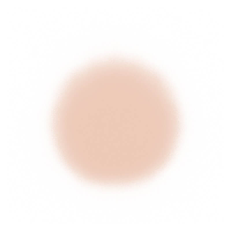 Temptu Perfect Canvas Hydra Lock Airpod Foundation Airbrush Foundation 2.5 Cream (Perfect Canvas)  