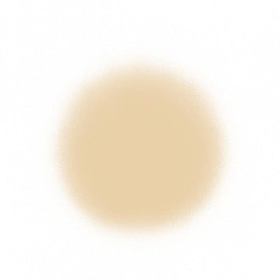 Temptu Perfect Canvas Hydra Lock Airpod Foundation Airbrush Foundation 2 Ivory (Perfect Canvas)  