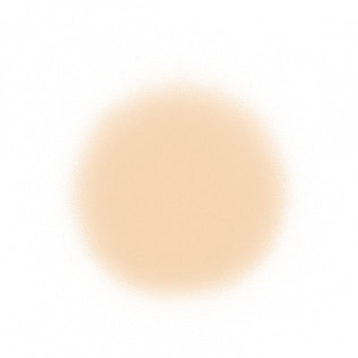 Temptu Perfect Canvas Hydra Lock Airpod Foundation Airbrush Foundation 3 Buff (Perfect Canvas)  