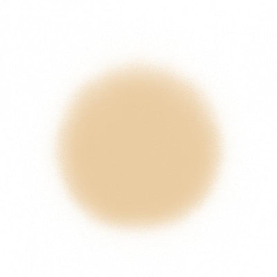 Temptu Perfect Canvas Hydra Lock Airpod Foundation Airbrush Foundation 3.5 Birch (Perfect Canvas)  