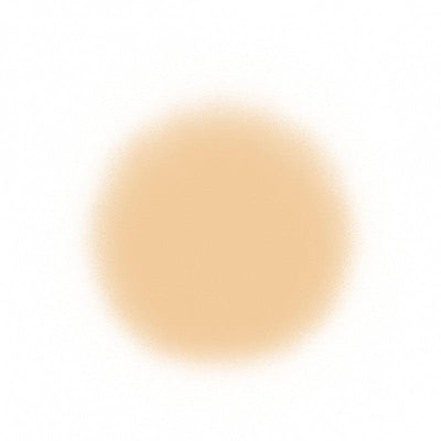 Temptu Perfect Canvas Hydra Lock Airpod Foundation Airbrush Foundation 4 Nude (Perfect Canvas)  