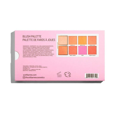 Scott Barnes Chic Cheek N°1 Blush Palette Blush Palettes   