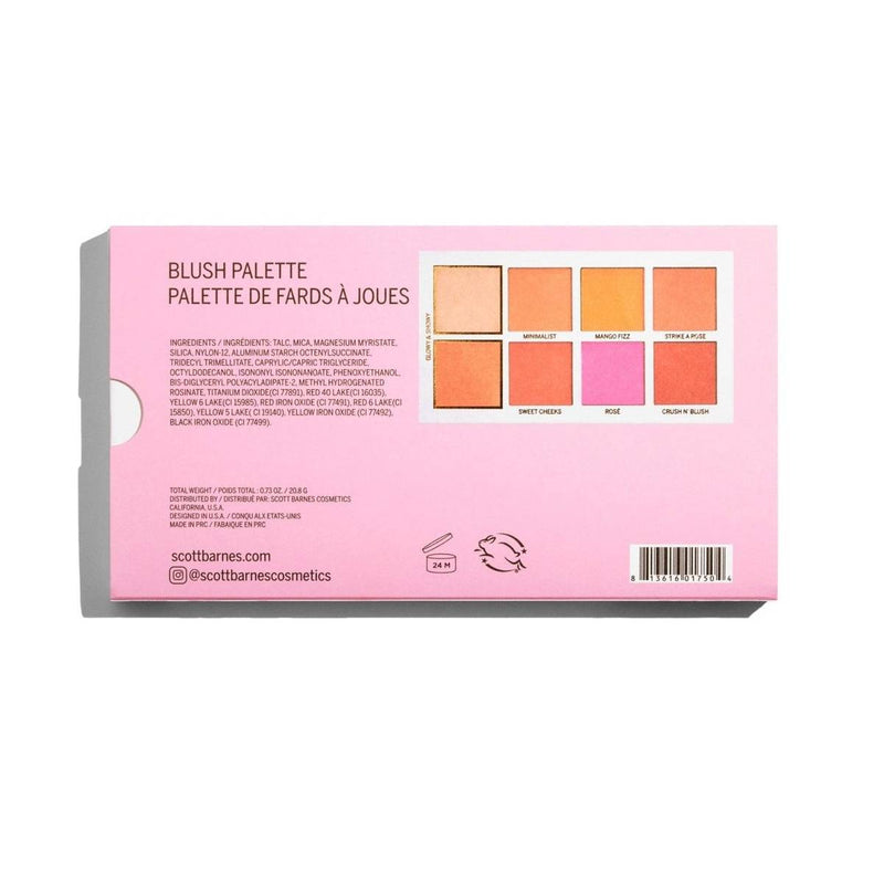 Scott Barnes Chic Cheek N°1 Blush Palette Blush Palettes   