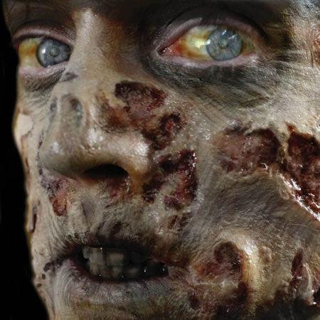 Tinsley Transfers Zombie Rot - 3D FX Transfer Prosthetic Transfers   